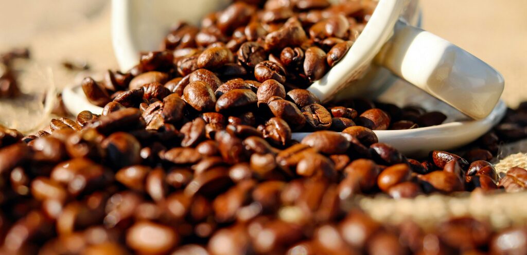 Closeup of coffee beans and scoop.