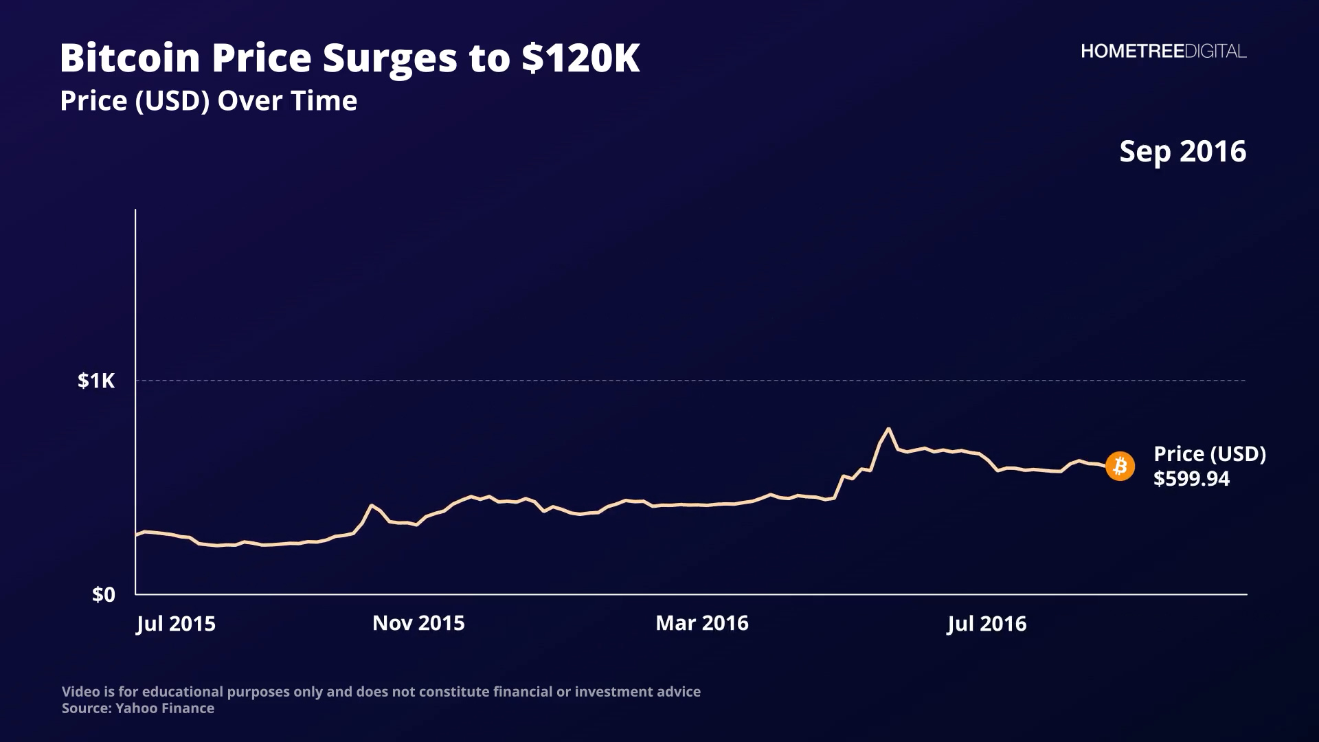 AVA Data Visualization | HomeTree Digital
