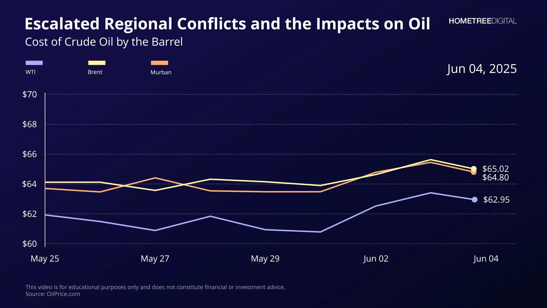 AVA Data Visualization | HomeTree Digital