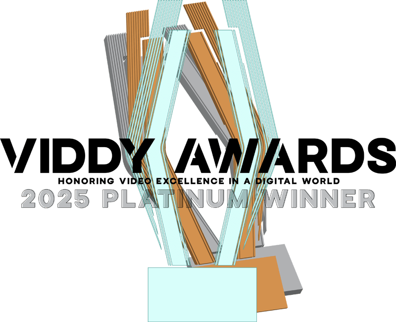 2025 Viddy Awards logo